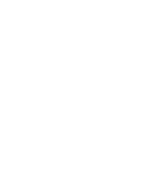 Team Sisson - logo - heroes